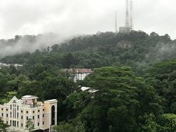 Bukit Timah Shopping Centre (D21), Office #552561231